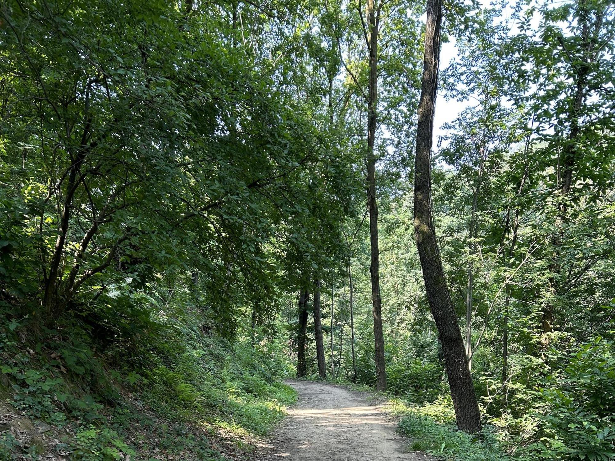 ベルガモIl Giardino Di Berbech Citta Alta - Castagnoアパートメント エクステリア 写真